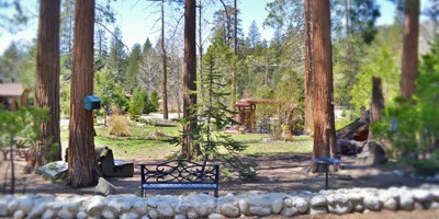 Enjoy A Great Idyllwild Cabin At Woodland Park Cottages Woodland